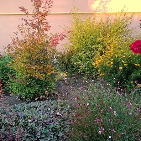 Dovolenkovy Dom Na Juhu Slovenska 펜션 Jahodná