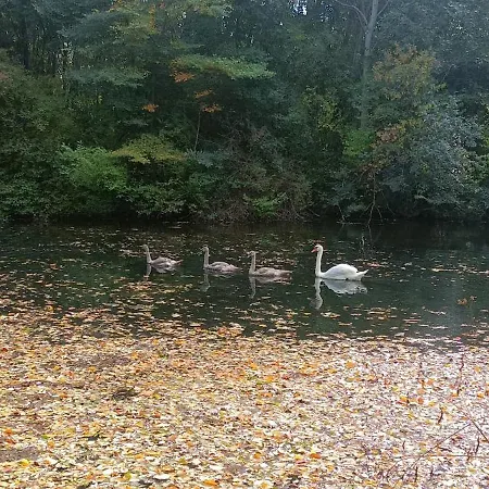 Dovolenkovy Dom Na Juhu Slovenska