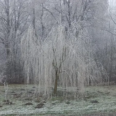 Dovolenkovy Dom Na Juhu Slovenska 펜션